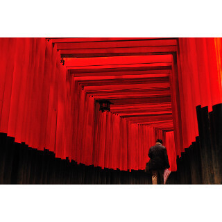 地元の”最強”絶景教えて! (9) 壮大な鳥居郡は異世界への入口のよう! 鮮やかな朱色は夏の夜に妖しさを増す