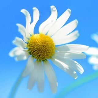 Windows 8 & 8.1はダメOSなのか - 第1回