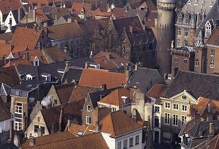 7,000匹の猫が登場! ベルギーの猫祭り、放映決定