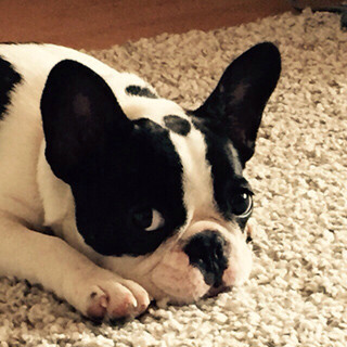 日本を拠点にアジアを奔走、ラーメン好きコロンビア人パティシエの働き方