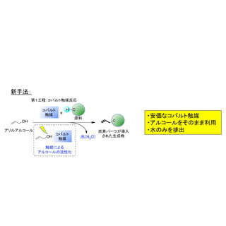 北大と星薬科大、水しか出さずに有用分子を合成する技術を開発