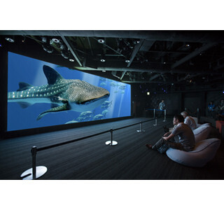 東京都・銀座で、沖縄美ら海水族館の世界と出会うアクアリウムが登場!