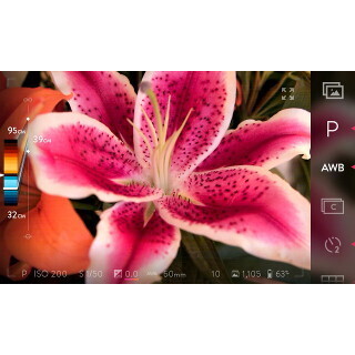 「LYTRO ILLUM」の最新ファームウェア - 編集用ソフトもアップデート