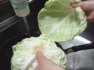 キャベツの葉を破らずキレイにはがす方法