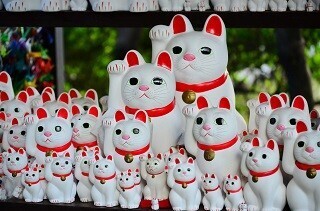 干支に猫が入っている国があるって本当?