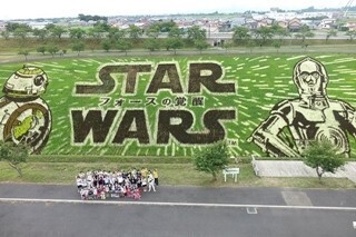 『スター･ウォーズ』田んぼアート、見ごろ宣言! ストームトルーパーも視察
