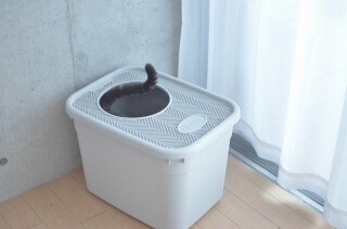これで猫砂は飛び散らない!? 入口が上についている猫トイレを使ってみた