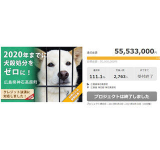ふるさと納税で犬の殺処分ゼロに! 目標の5,000万円達成