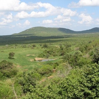 25歳のあなたへ。これからの貯"金"講座 (14) ケニア人女性ジャーナリストとの会話 - 子どもは何人が当たり前?