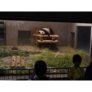 東京都・上野動物園で「真夏の夜の動物園」開催! ビアガーデンも延長営業