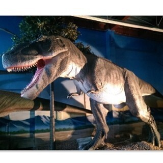 店内は恐竜だらけ! 太古レストラン･酒場「ダイナソー」神奈川･大和に誕生