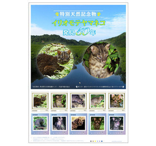 イリオモテヤマネコの記念切手が発売