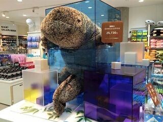 特大「オオサンショウウオぬいぐるみ」が登場