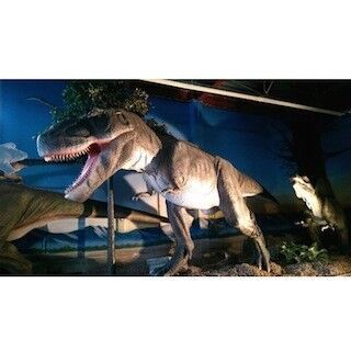 恐竜に乗って散歩も! 神奈川県大和市に恐竜レストラン「ダイナソー」登場