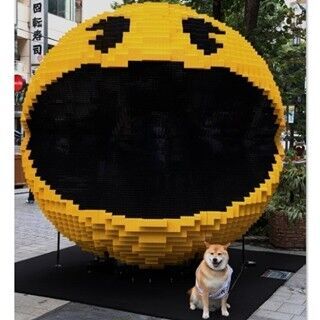 新宿に超巨大パックマン出現!『ピクセル』宣伝ワン就任の柴犬&quot;まる&quot;も登場