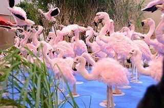 大阪府・梅田で、実物大のぬいぐるみでサファリを再現したイベント開催中!