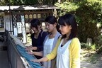 愛媛県松山市で婚活ツアー - 独身女性の交通・宿泊費を3万円まで補助