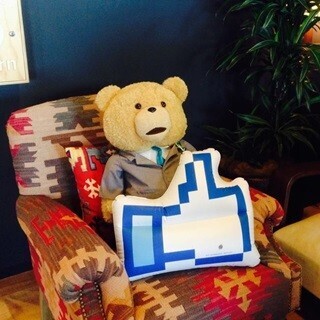 クマ史上初! テッドがリアルタイムQ&A実施「超面白い質問にしか答えない」