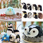 東京都・南青山と吉祥寺の「ことりカフェ」で「ペンギン祭」が開催