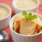 豆腐とマシュマロでつくる簡単アイスクリームレシピ