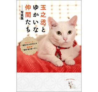 猫侍の写真集が発売
