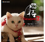 「猫侍」ドラマ主題歌がCD化! 映画のパンフレットに限定封入
