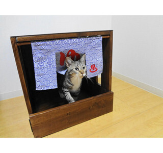 温泉から猫があがったように見える猫トイレのれん販売中