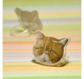 ブサかわな猫の指輪が販売中