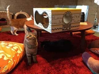 楽天市場の人気店舗の舞台裏を訪問、店舗運営業務の一部を体験できるツアー