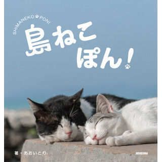 島に暮らす猫を集めた写真集『島ねこぽん』発売 - 東京都で先行販売も