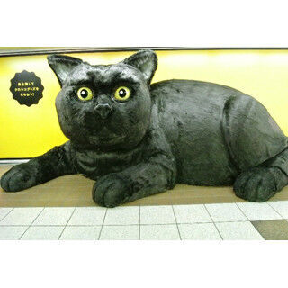 東京都・新宿駅に幅6mの巨大黒猫が登場! 鼻を押すとプレゼントが出てくる