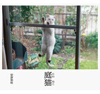 網戸に張り付く「庭猫」たちが写真集になって登場