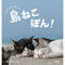 島で暮らす猫たちの姿を楽しめる写真集「島ねこぽん」が発売!