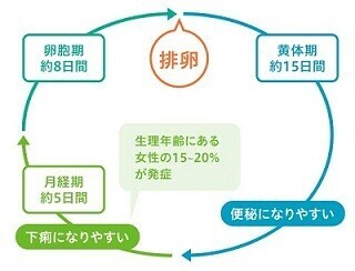 生理と下痢が同時進行!? 女性ホルモンがお腹をゆるくしていた!