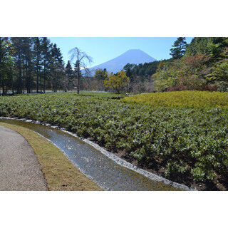 富士山＋忍野八海＋&quot;忍者&quot;な旅も! 新設「しのびの里」で広がる富士観光の形