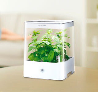 室内で本格水耕栽培! 水やり不要で野菜が収穫できる「Green Farm」に新機種