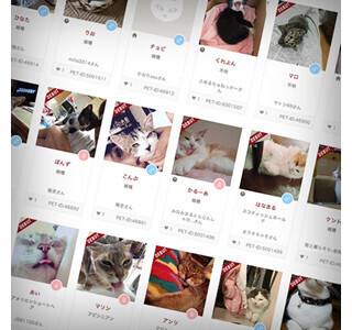 被災時のペットの迷子対策サービスが開始