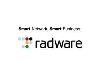 空港や観光関連組織にDDoS攻撃、日本ラドウェアが注意喚起