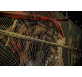 東京都渋谷区で、ゾンビになって肉を食らうハロウィンイベント開催