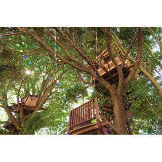 千葉県千葉市にツリーハウス&amp;ハンモック付きの&quot;森のカフェ&quot;が誕生!