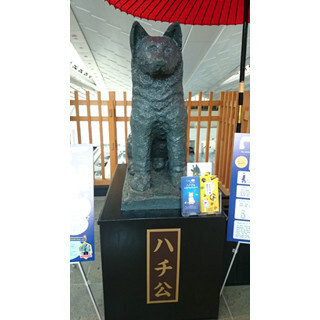 東京都・羽田空港に約2mのハチ公像出現! 渋谷の像とは別バージョン