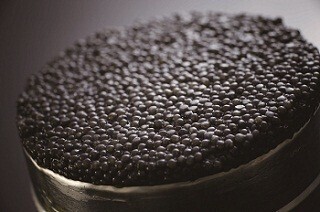 宮崎県産の本格熟成キャビア「MIYAZAKI CAVIAR 1983」に新商品が登場