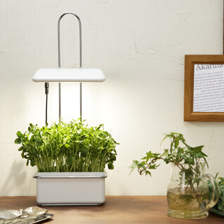 灯菜、壁掛けできる水耕栽培器「Akarina15」