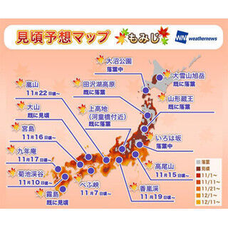 東京都23区は11月下旬から! 最新「紅葉見頃予想」 - 既に落葉のスポットも