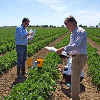 NEC、シミュレーションで営農最適化など支援の農業ICTソリューションを開発