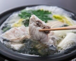 スッポンスープでふぐをしゃぶしゃぶ! 東京都・湯島の料理屋で提供開始