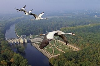 "鳥の目"視点映像、その驚きの撮影方法とは? まずは鳥をふ化させる