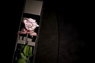 羽生結弦コラボリンクの限定プリザーブドフラワーが登場