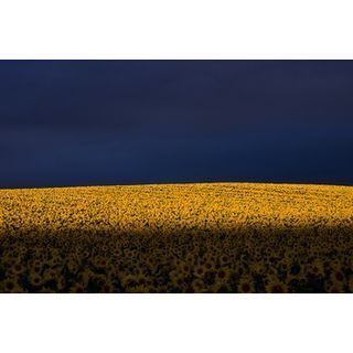 中西敏貴 写真展「ORDINARY」、リコーイメージングスクエア新宿にて