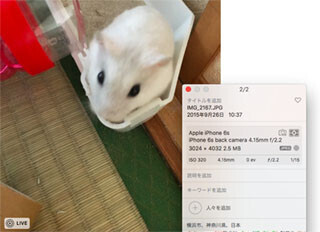 「ライブ・フォト」を受け取るとどうなりますか? - いまさら聞けないiPhoneのなぜ